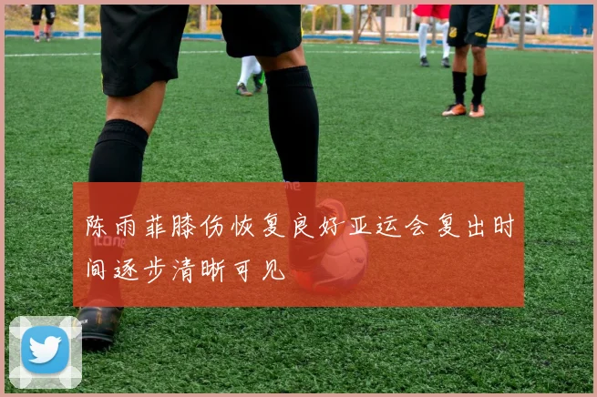 陈雨菲膝伤恢复良好亚运会复出时间逐步清晰可见